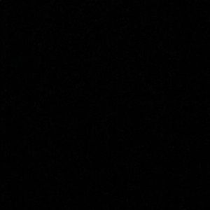 Meet your Posher, Cody